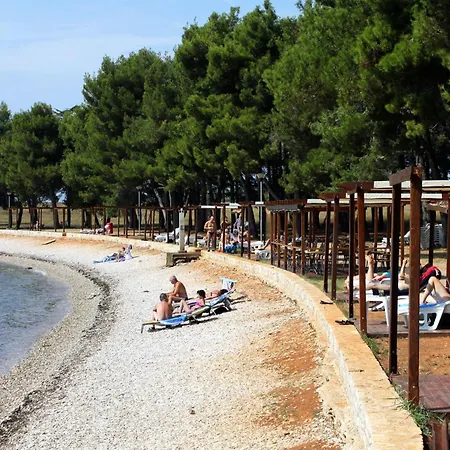 Apartment Family-friendly With Swimming Pool Novigrad - 24585