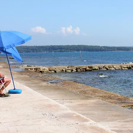 Family-friendly With Swimming Pool Novigrad - 24585 아파트 *